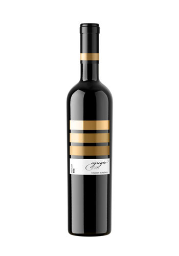 Vinuri contemporane pentru momente speciale Vinuri contemporane pentru momente speciale