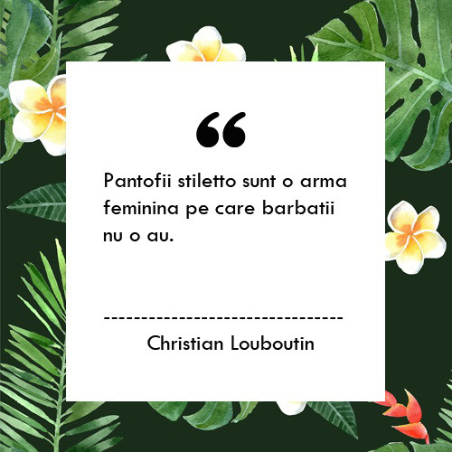 10 citate despre pantofi pe care orice pasionata ar trebuie sa le cunoasca 10 citate despre pantofi pe care orice pasionata ar trebuie sa le cunoasca